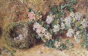 Chaffinch Nest and  May Blossom (mk46), William Henry Hunt,OWS